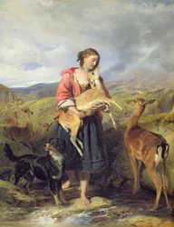 Das Haustier Reh, 1860